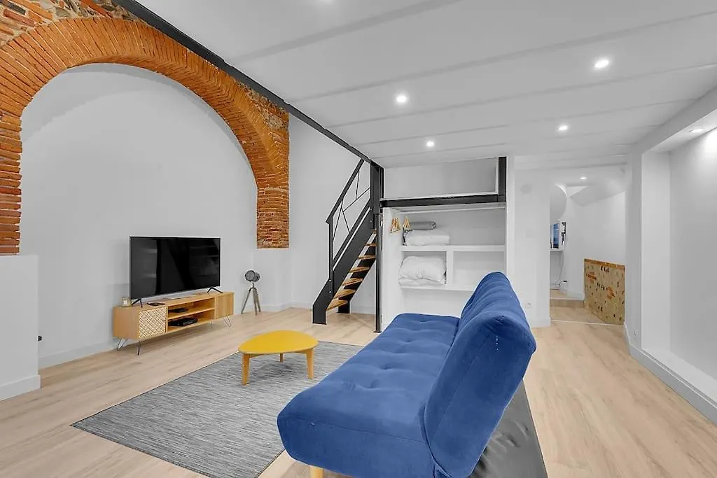 Appartamento Loft Toulousain Atypique Renove A Neuf Tolosa